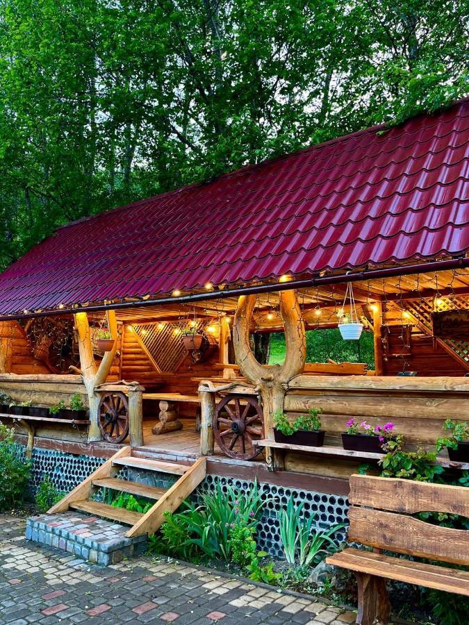 гірський прутець